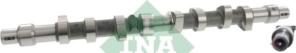 Camshaft 428008610