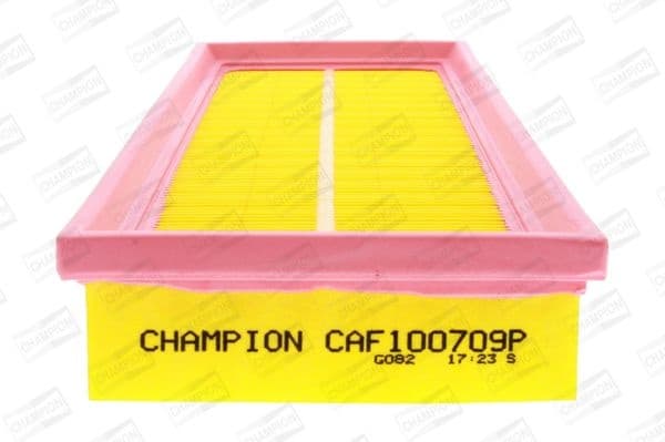 Air Filter CAF100709P