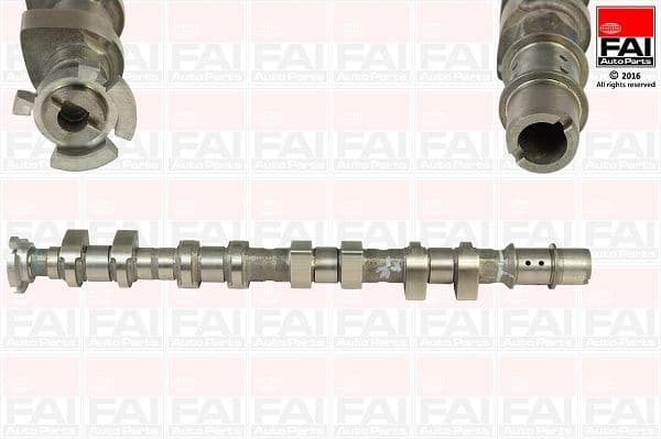 Camshaft C365