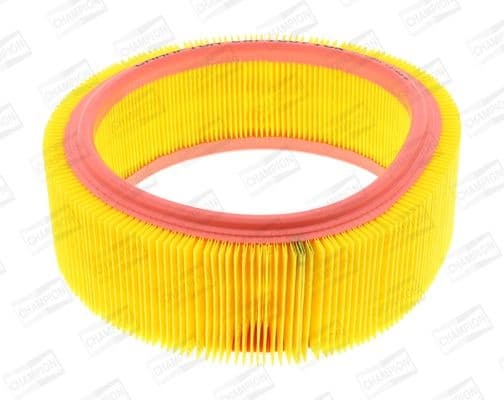 Air Filter CAF100716R