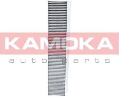 Filter, cabin air F503601