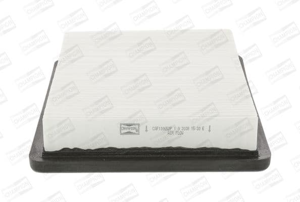 Air Filter CAF100652P