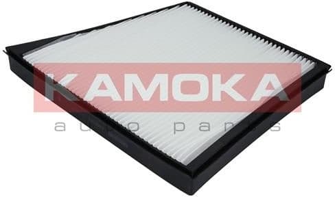 Filter, cabin air F409701 - image 2