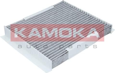 Filter, cabin air F504501 - image 2