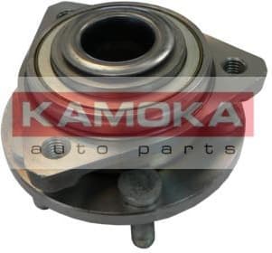 Wheel Bearing Kit 5500055