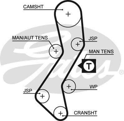 Timing Belt PowerGrip™ 5451XS - image 2