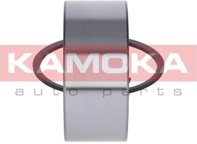 Wheel Bearing Kit 5600076 - image 4