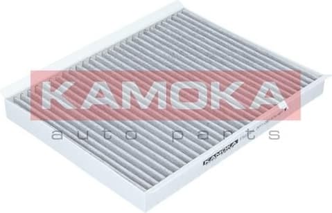 Filter, cabin air F502301