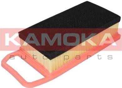 Air Filter F223801