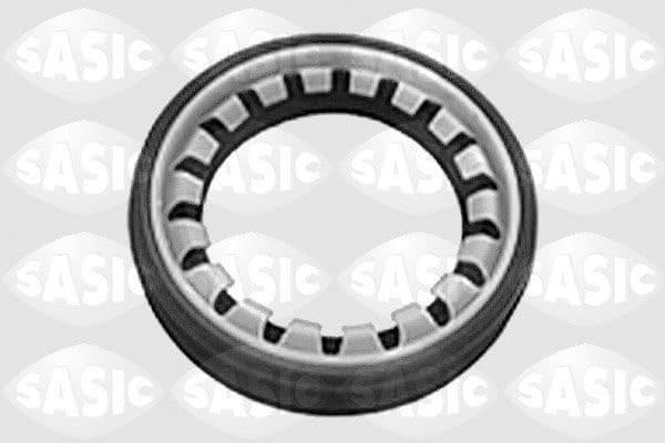 Shaft Seal, differential 1950001