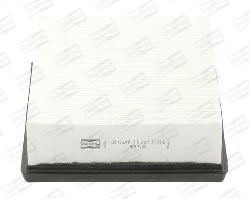 Air Filter CAF100641P