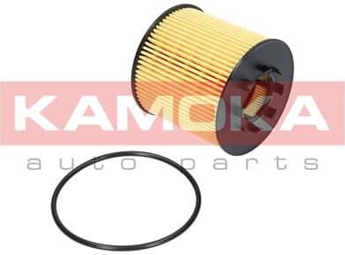 Oil Filter F105701 - image 2