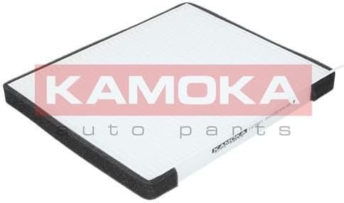 Filter, cabin air F415501 - image 2