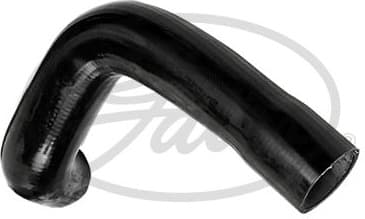 Radiator Hose 3881