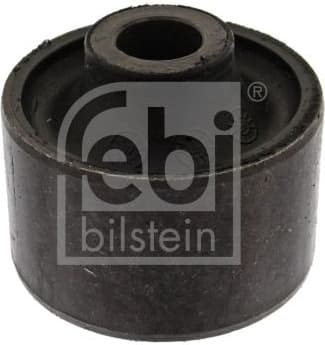 Mounting, control/trailing arm 01311