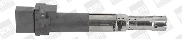 Ritė uždegimo babina