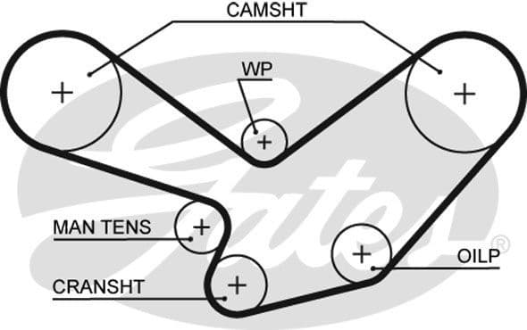Timing Belt PowerGrip™ 5098XS - image 2