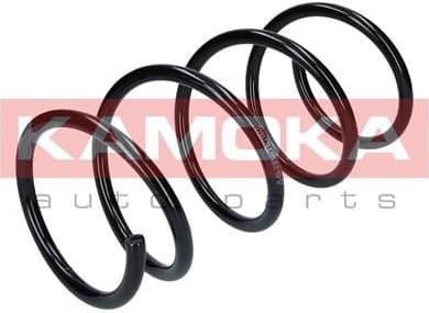 Coil spring 2110231