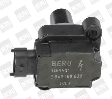 ZS 030 (BorgWarner (BERU))