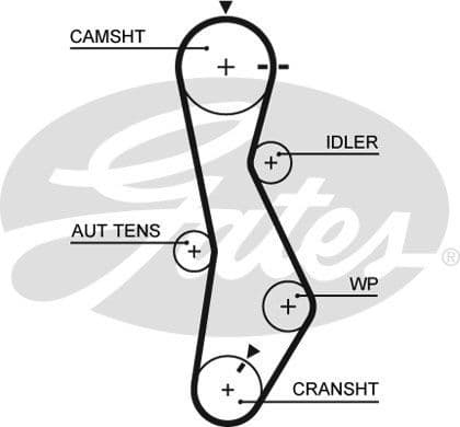 Timing Belt PowerGrip™ 5579XS