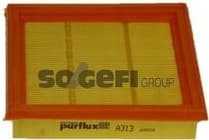 Air Filter A313