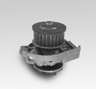Water Pump, engine cooling P127