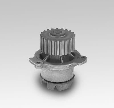 Water Pump, engine cooling P624