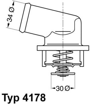 Termostatas - image 2