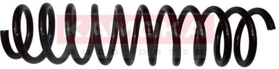 Coil spring 2120238