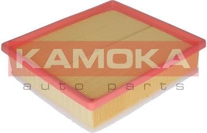 Air Filter F209701 - image 2