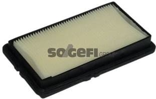 Air Filter A1006