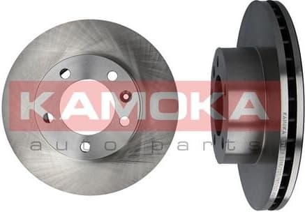 Brake Disc 1031023