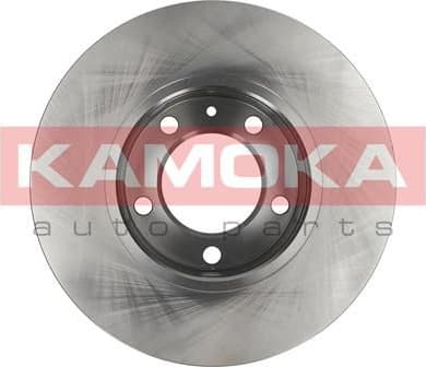 Brake Disc 1031023 - image 2