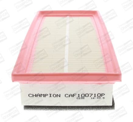 Air Filter CAF100710P
