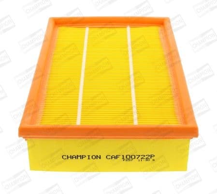 Air Filter CAF100722P
