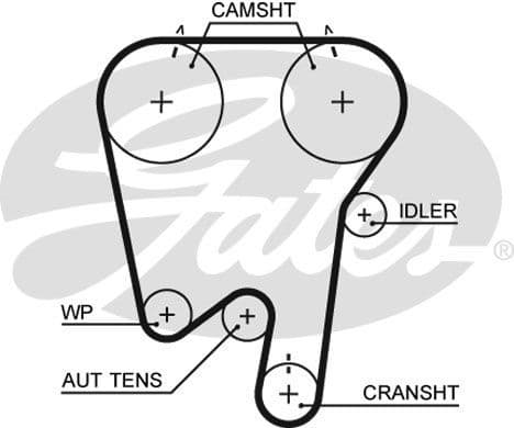 Timing Belt PowerGrip™ 5397XS - image 2
