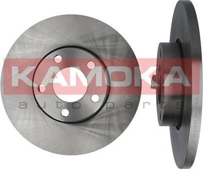 Brake discs kit front (2pcs) 1031103