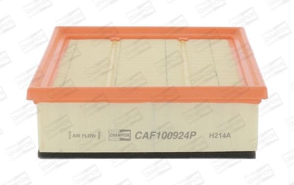 Air Filter CAF100924P