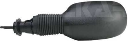 Exterior Mirror 6102382