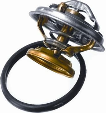 termostatas, aušinimo skystis - image 2