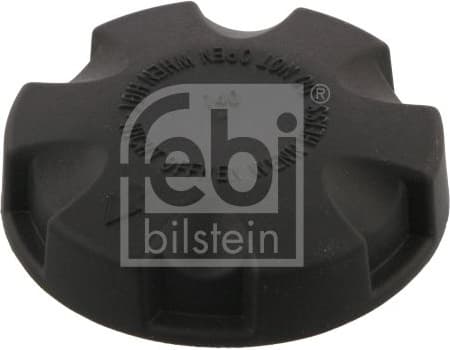 Cap, coolant tank 36737 - image 2