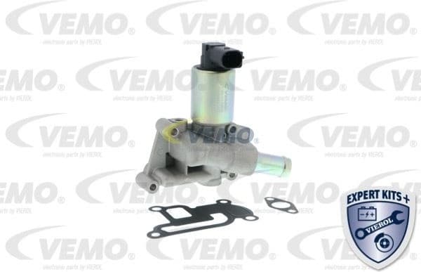 EGR Valve EXPERT KITS + V40-63-0010