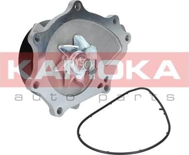 Water Pump, engine cooling T0176