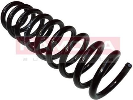 Coil spring 2120323