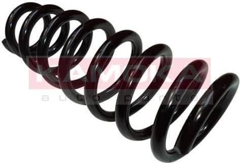 Coil spring 2120228