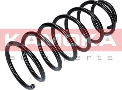 Suspension Spring 2110089 - image 4