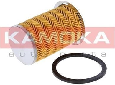 Fuel Filter F307201