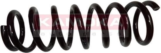 Coil spring 2120110