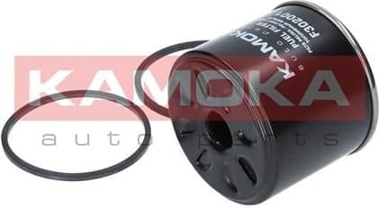 Fuel Filter F302001 - image 3
