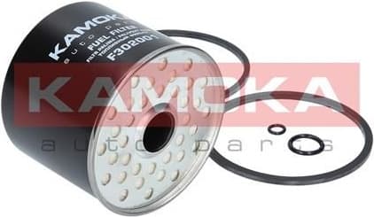Fuel Filter F302001 - image 4